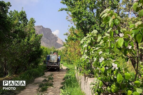 آلبوم تصویری از طبیعت زیبای شهر بار در اردیبهشت‌ماه  ۱۴۰۵ـ۲