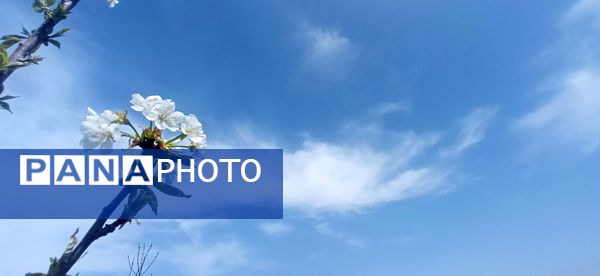 طبیعت بی نظیر روستا سربالا بهترین گزینه برای طبیعتگردی در فصل بهار