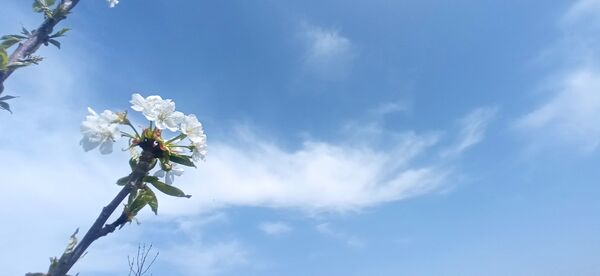 طبیعت بی نظیر روستا سربالا بهترین گزینه برای طبیعتگردی در فصل بهار