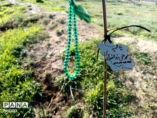 کاشت نهال امید در مریانج؛ ادای احترام به امام شهید و شهدای میناب