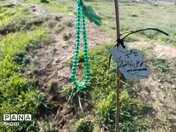 کاشت نهال امید در مریانج؛ ادای احترام به امام شهید و شهدای میناب