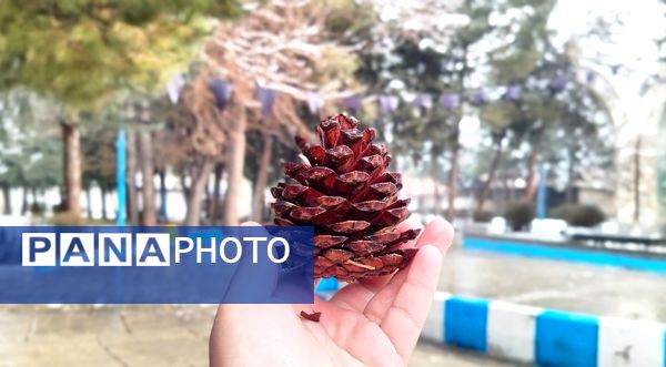 لردگان میزبان اولین برف زمستانی 