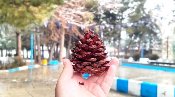 لردگان میزبان اولین برف زمستانی 