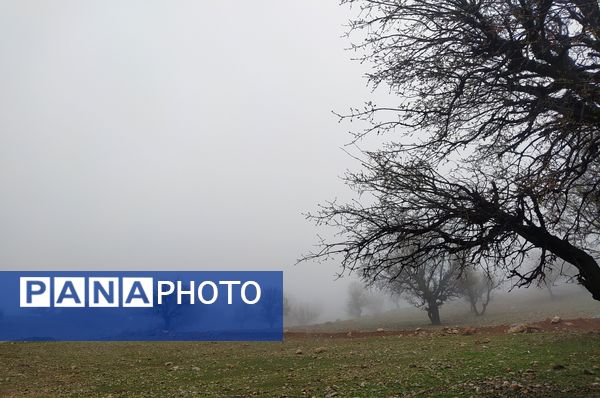 میانکوه سال ۱۴۰۴ خود را متفاوت شروع کرد