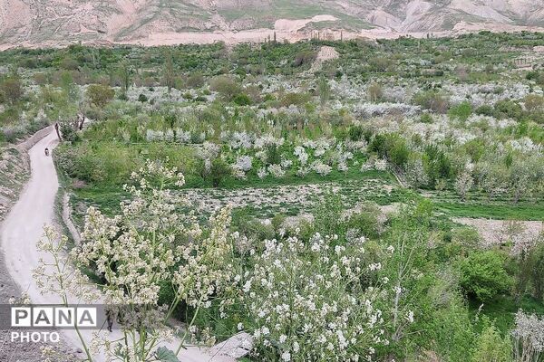 آلبوم تصویری از طبیعت زیبای شهر بار در اردیبهشت‌ماه  ۱۴۰۵ـ۲