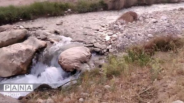 سمفونی رنگ‌ها در دامنه‌های گرین؛ سفری به دیار کهن الشتر