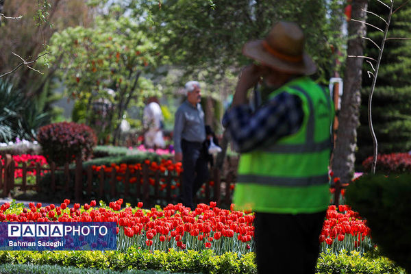 جشنواره لاله ها در کرج
