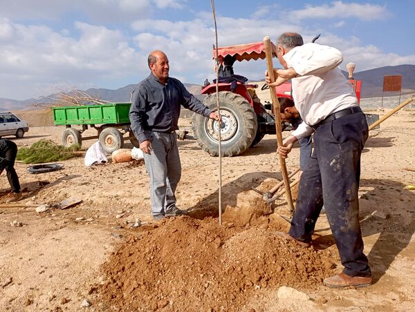 کاشت نهال در آرامستان روستای گزکوه
