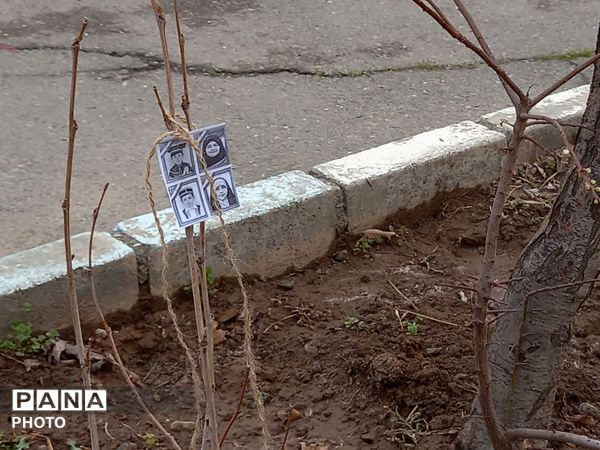 درختی برای زندگی؛ یادواره‌ای برای شهدا