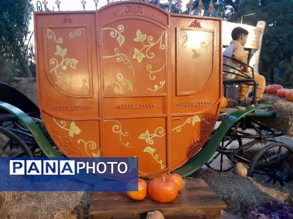 طعم و رنگ پاییز در باغ مشهد