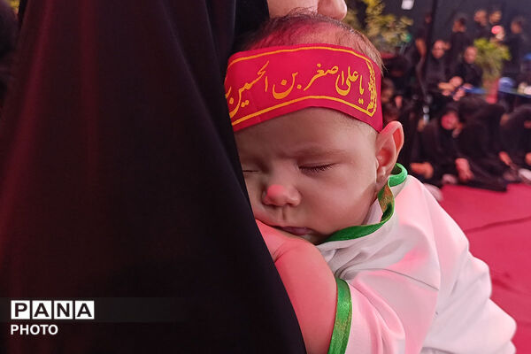 گهواره‌های سبز در سوگ کربلا؛ همایش شیرخوارگان حسینی در بجنورد/2 