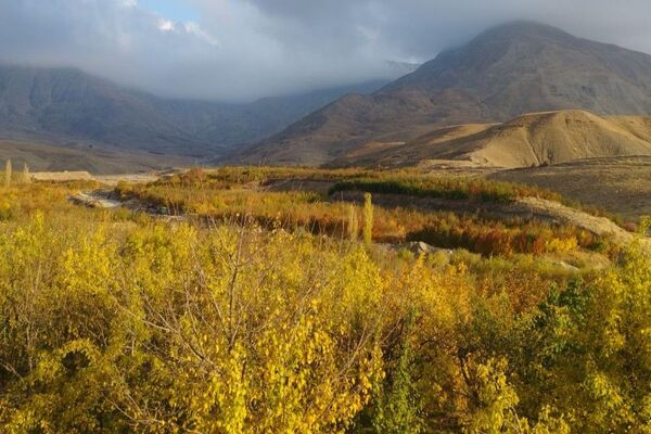 تصاویر زیبا از پاییز رنگارنگ در شهر دار السادات بار نیشابور 