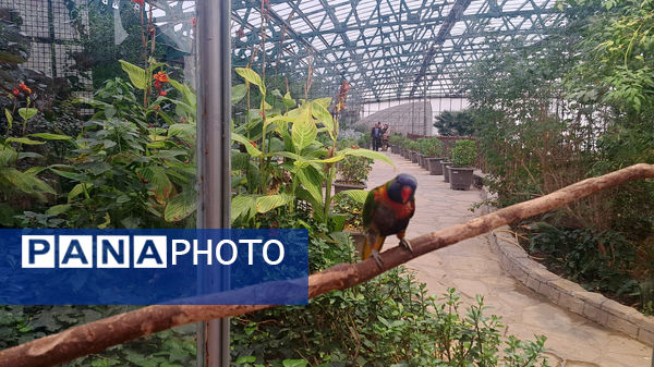 باغ پرندگان قم: جاذبه‌ای بی‌نظیر در قلب کشور