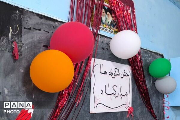 آغاز فصل سبز آموختن در رودبار جنوب