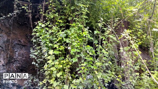 دهبار گنجینه ای پنهان در دل کوهستان که در انتظار بازشناسی است