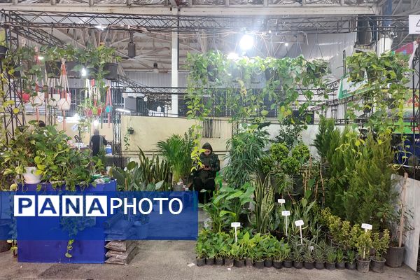 نمایشگاه فروش پاییزه در قائمشهر