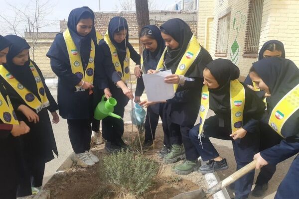 کاشت نهال به مناسبت روز درخت کاری دردبیرستان شهید مجید دهنوی 