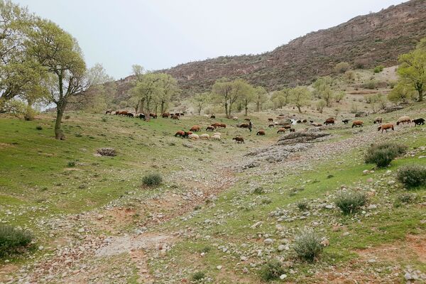 بهار، آغاز دوباره‌ی زندگی طبیعت 