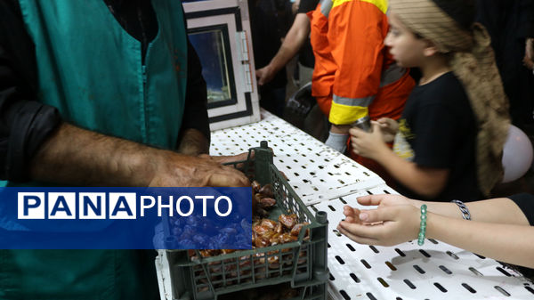 جلوه‌های خدمت‌رسانی به عاشقان اباعبدالله(ع)