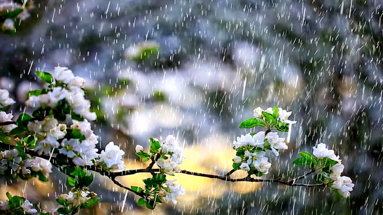 در کشور بارش‌های بهاری ادامه دارد