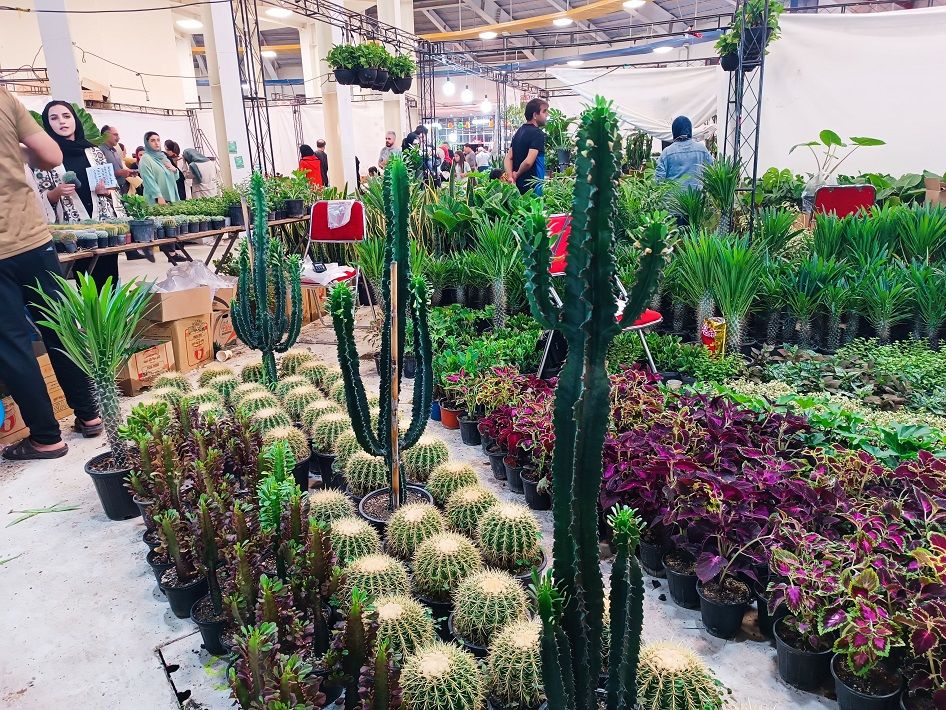  دهمین نمایشگاه گل و گیاه و گیاهان آپارتمانی در اردبیل
