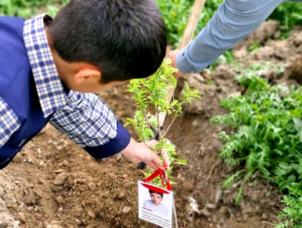 آیین کاشت نهال به نام شهدای دانش‌آموز میناب در کرج 
