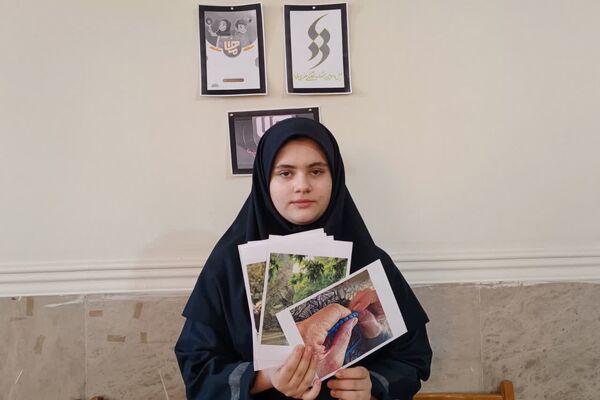 نمایشگاه آثار هنری دانش آموزان دبیرستان امام علی(ع) شهرستان ورامین