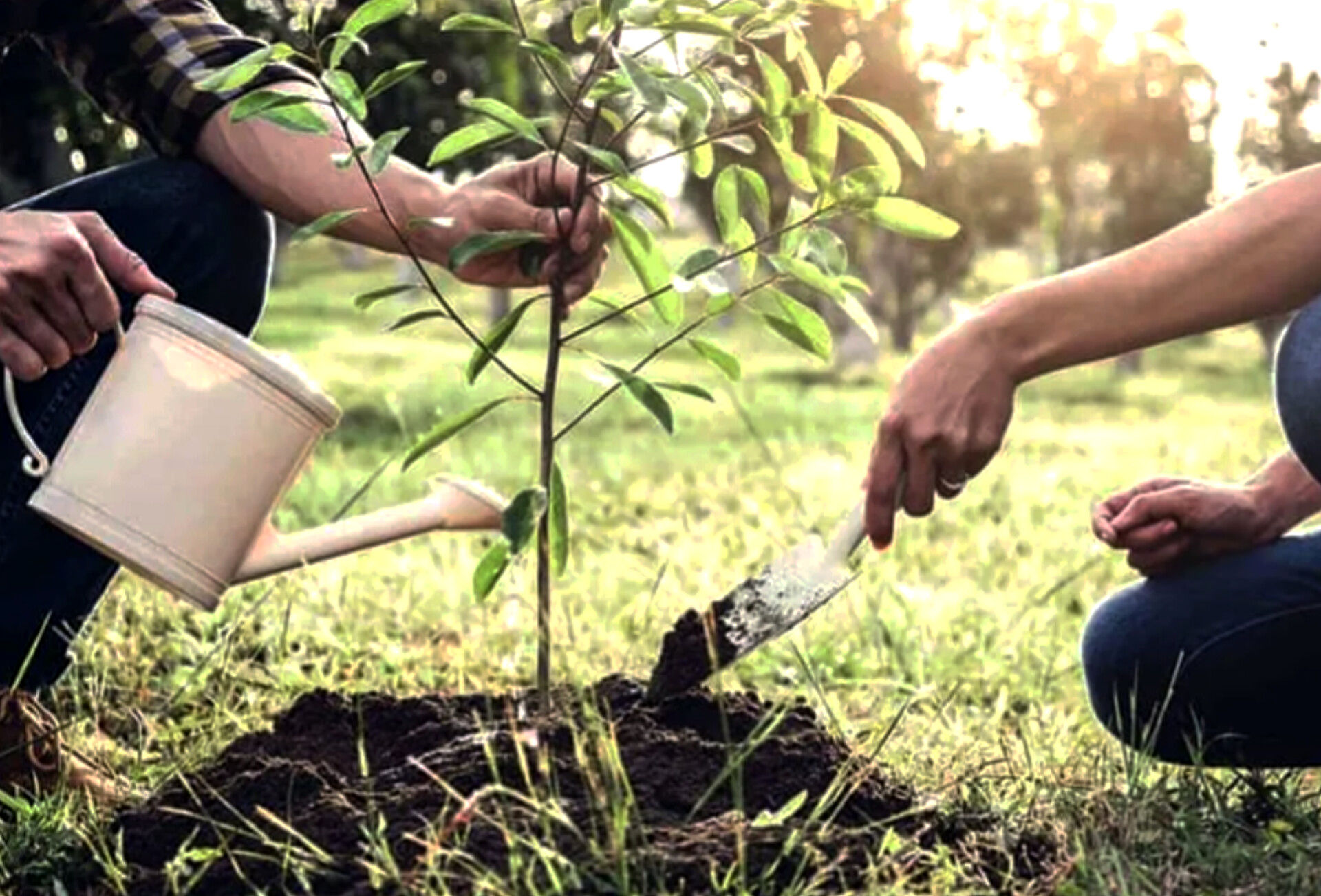 از کلاس درس تا اراضی ملی ؛ نوجوانان خراسانی نهال های فردای سبز را می‌کارند 