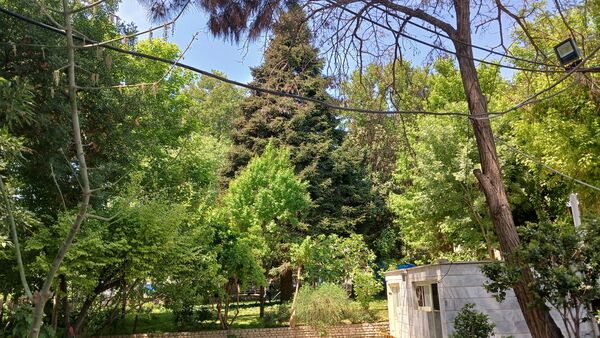 بازدید دانش‌آموزان مدرسه ایران از فضای سبز شهرداری ملارد به مناسبت روز زمین پاک