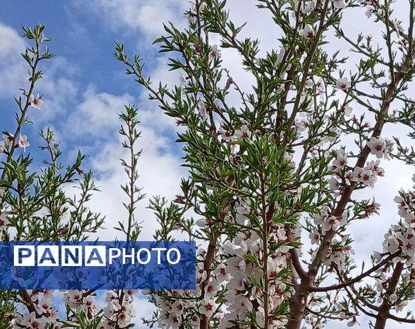 فصل بهار، فرصتی برای سر زندگی روح