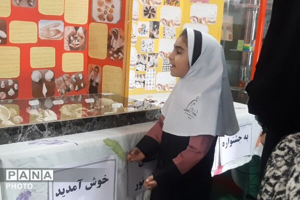 جشنواره جابر بن حیان؛ رقابت اندیشه‌های کوچک با ایده‌های بزرگ