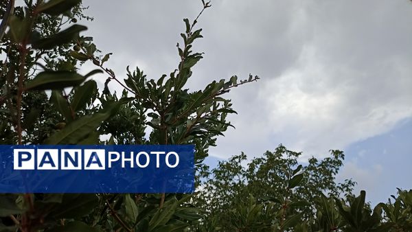 اولین بارش تابستانه در روستای کینک