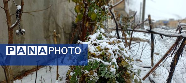 برف پاییزی در کوهرنگ