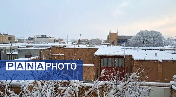 سفید دشت اولین روز برفی زمستان ۱۴۰۳ را تجربه کرد