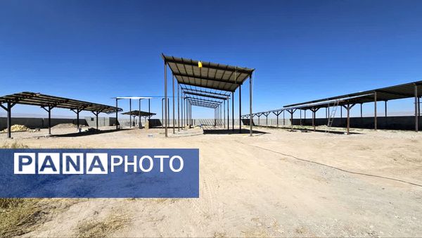 بازدید از طرح در حال احداث پرورش گاوشیری صنعتی