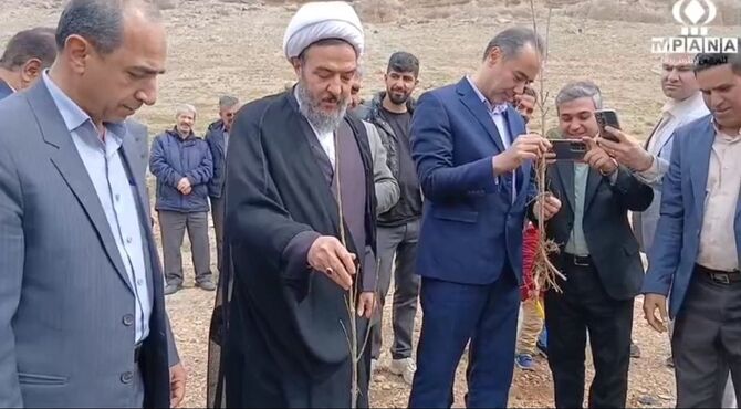 پویش ملی کاشت نهال امید در بیجار