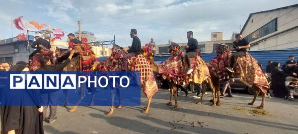 استقبال عزاداران حسینی از کاروان نمادین اسرای کربلا در قم
