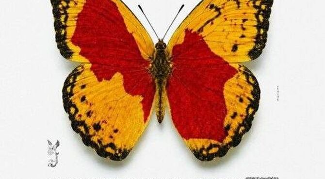 دیپلماسی ادبیات؛ «پروانه» در مسیر گنجینه‌ جهانی صلح