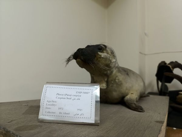 بازدید گروهی محور کشاورزی ، دامپروری ، شیلات از موسسه تحقیقات گیاه پزشکی کشور