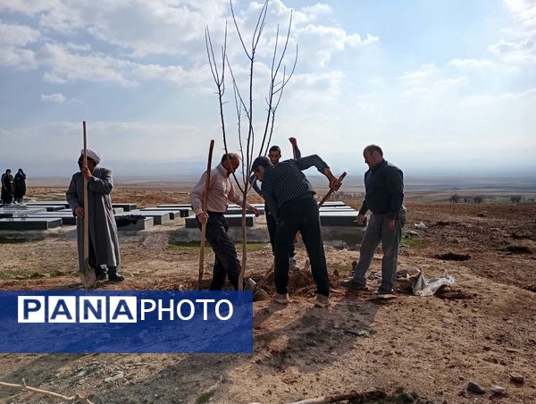 کاشت نهال در آرامستان روستای گزکوه