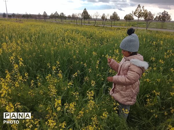 آیین باستانی سیزده بدر رشتخوار در روز طبیعت از قاب خبرنگاران پانا