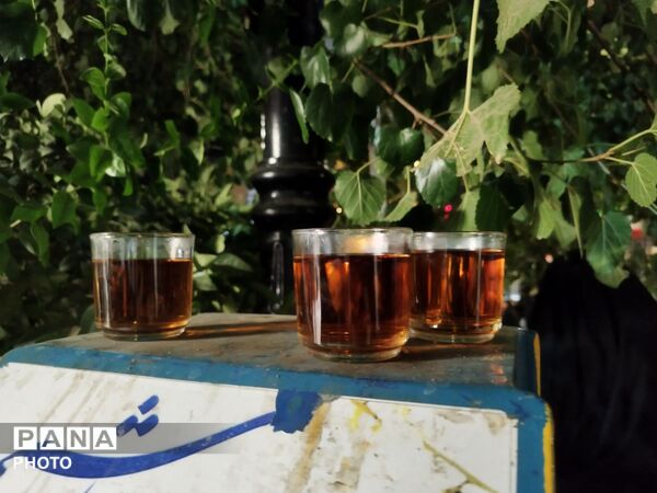 چایخانه حوزه علمیه گلشن؛ جلوه‌ای از خدمت و ارادت در آغاز امامت امام عصر ( عج )