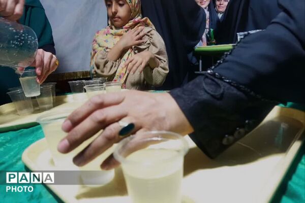 نبض شهر به عشق علی(ع) تپید
