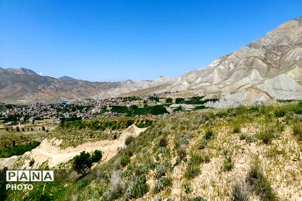 کوه های شهر بار ذخیره‌گاه گیاهان ارزشمند و کم نظیر دارویی 