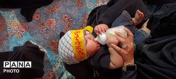 طنین نوای «یا علی‌اصغر (ع)» در مهدیه بندرعباس