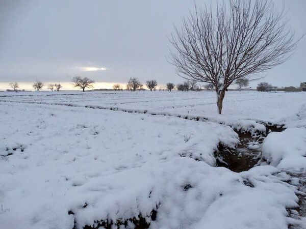 سپیدی رحمت بر جرقویه علیا