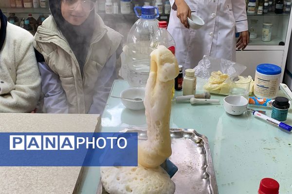 گامی در مسیر کشف حقیقت