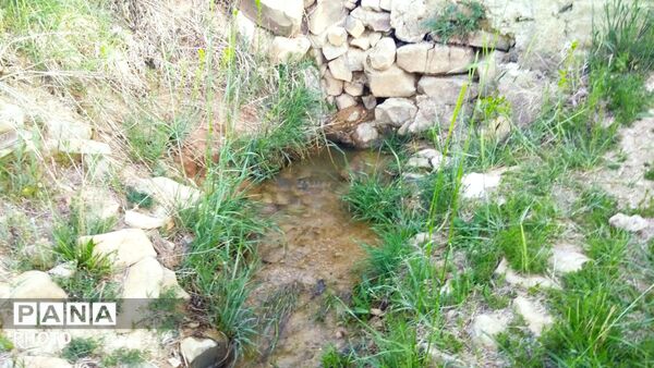 طبیعت دَستَنا؛ جلوه‌ای کم‌نظیر از آرامش و زیبایی در دل چهارمحال و بختیاری
