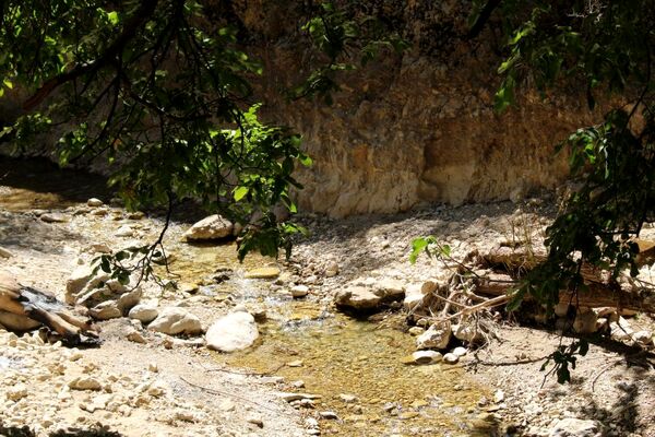 تنگه گردو‌ کنگک چشمه‌ای در دل طبیعت