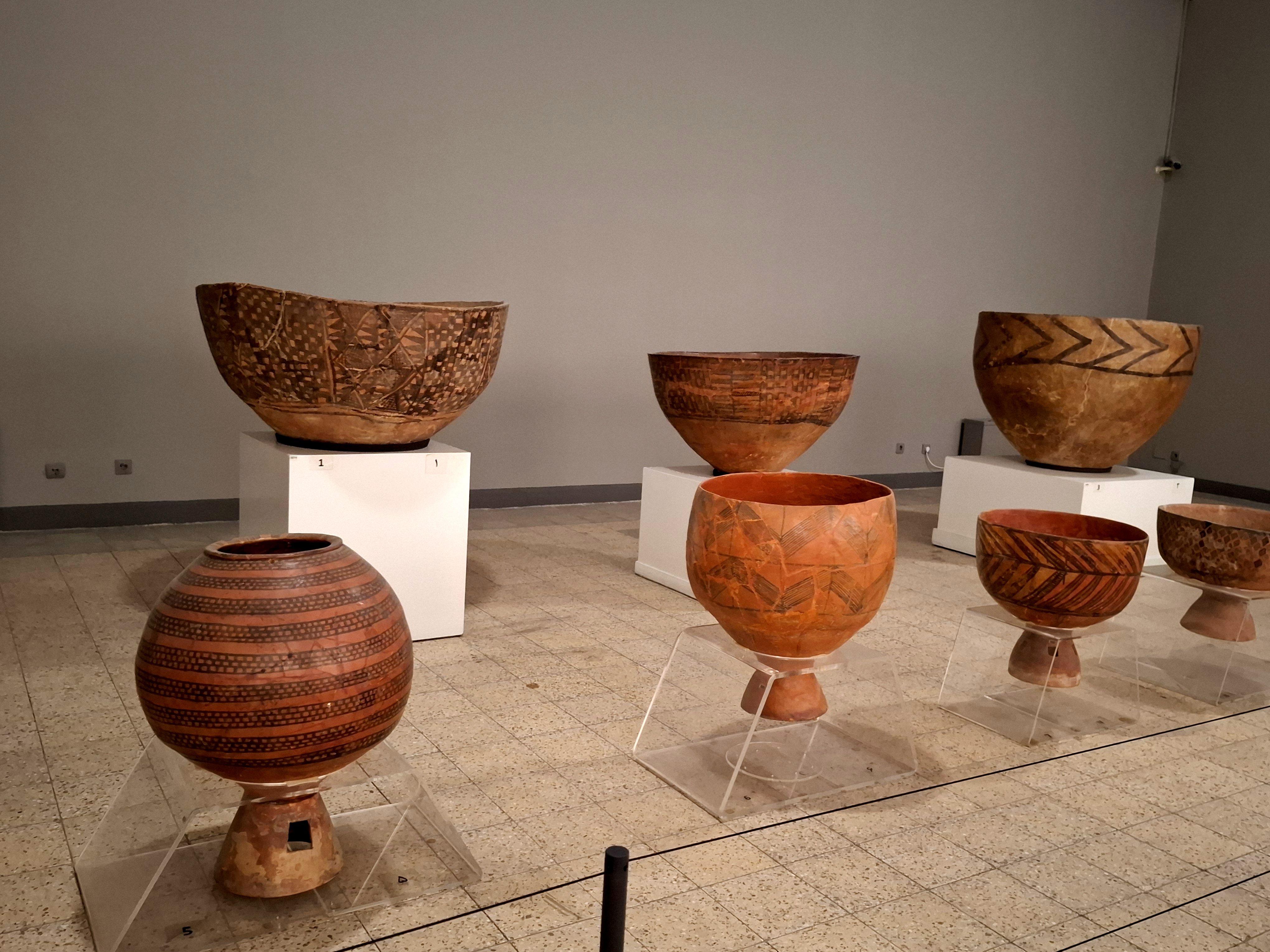 گشتی در تاریخ؛ از مدرسه دارالفنون به سمت دوره ایران باستان